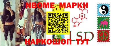 шишки Будённовск