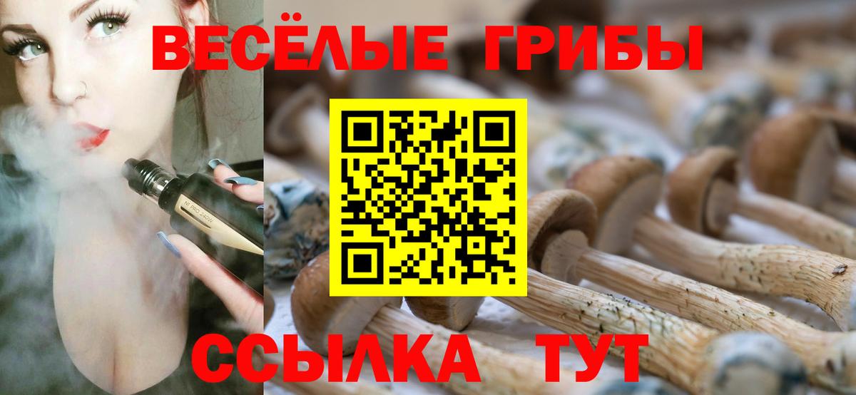 Псилоцибиновые грибы Psilocybe Отрадное